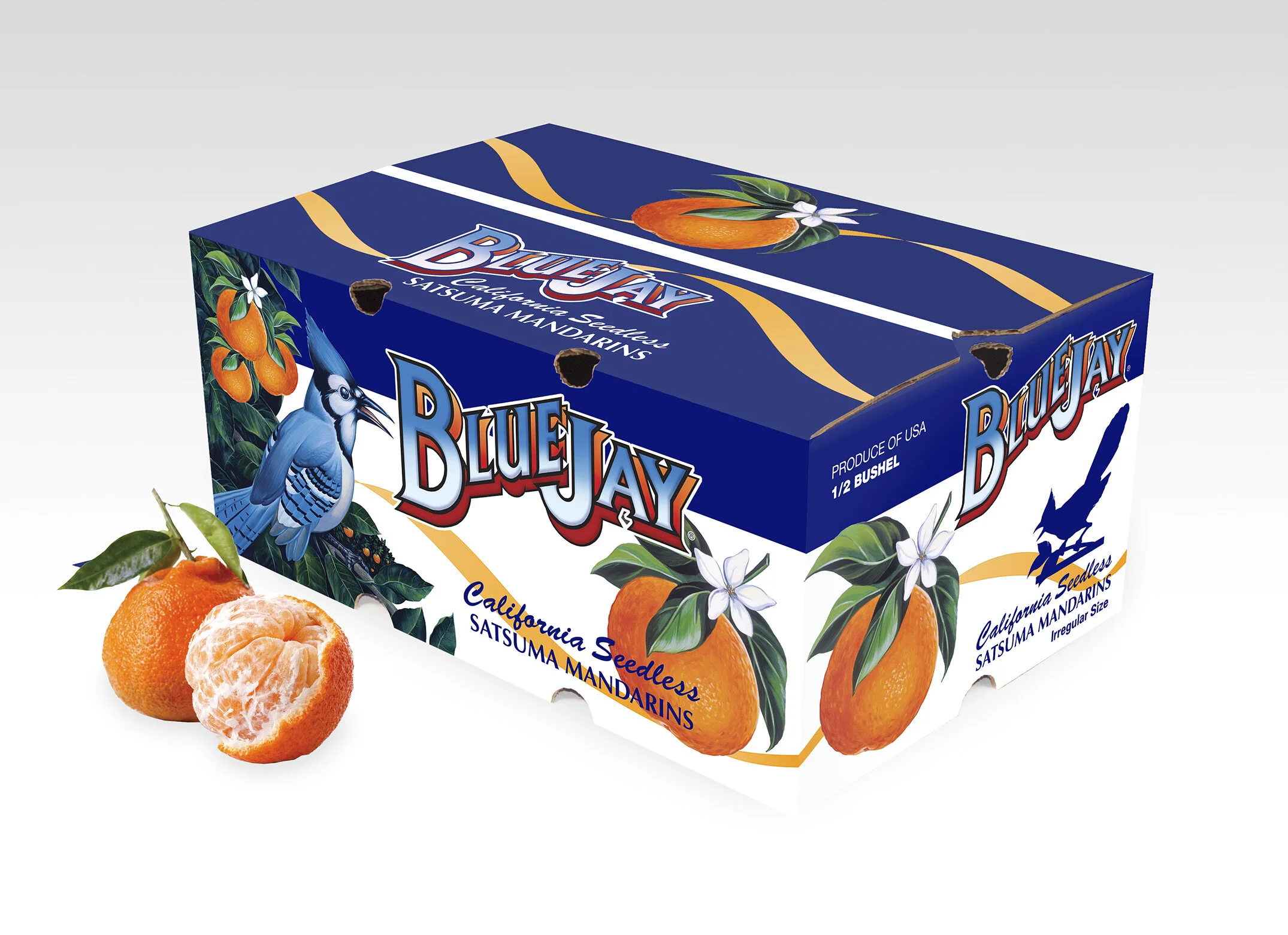 オランダのBLUE CHEER　ORANGE SUNSHINE　1st オランダのBLUE CHEER ORANGE SUNSHINE 1st